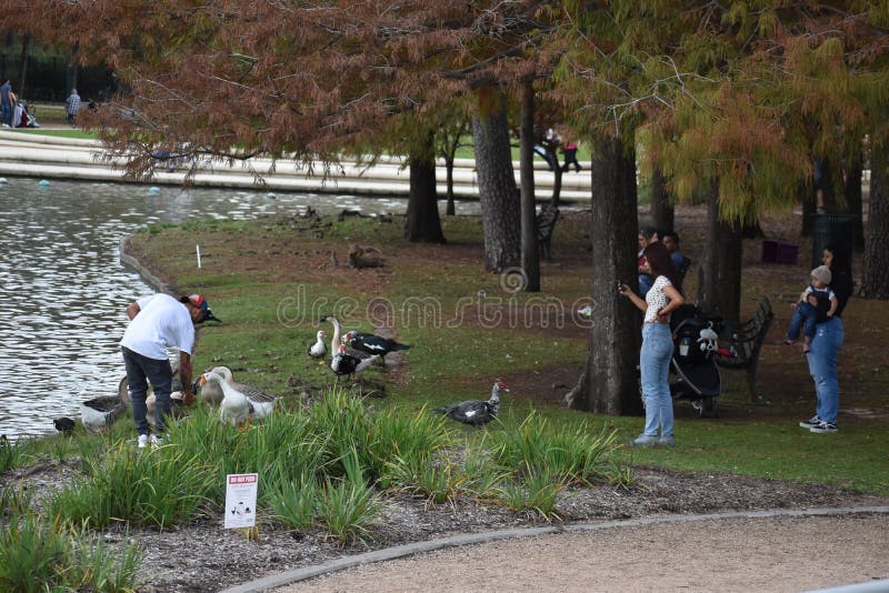Do Not Feed Ducks Sign Park Stock Photos - Free & Royalty-Free Stock