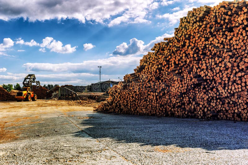 Hout bij timmerhoutmolen die wordt gestapeld stock foto's Hout bij timmerhoutmolen die wordt gestapeld stock foto's