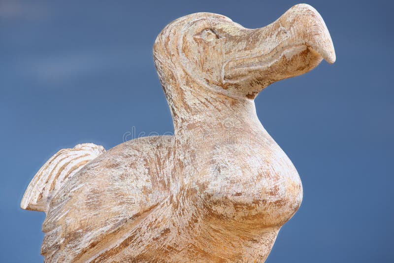 Wooden Dodo bird - typical souvenir from Mauritius island. Dodo is an extinct flightless bird that was endemic to the island of Mauritius. Wooden Dodo bird - typical souvenir from Mauritius island. Dodo is an extinct flightless bird that was endemic to the island of Mauritius.