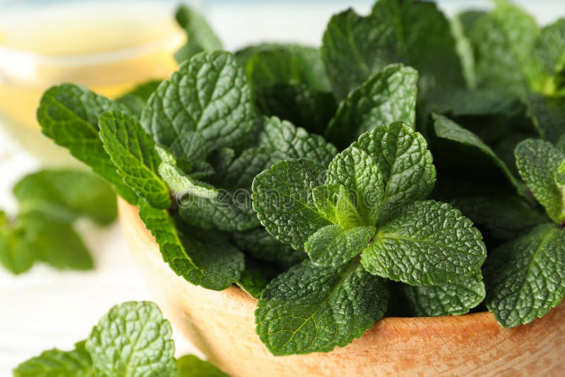 Houten kom met verse munt stock fotografie