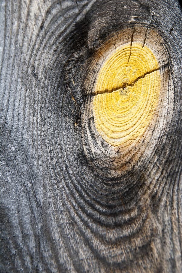Houten Leeftijd stock foto Houten Leeftijd stock foto