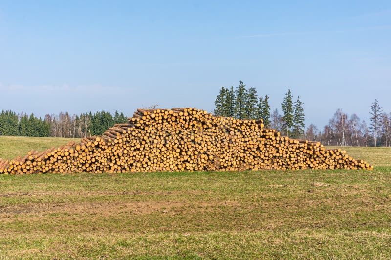 Houten logboeken of boomstammen van ter plaatse gesneden en gestapelde bomen stock afbeelding Houten logboeken of boomstammen van ter plaatse gesneden en gestapelde bomen stock afbeelding
