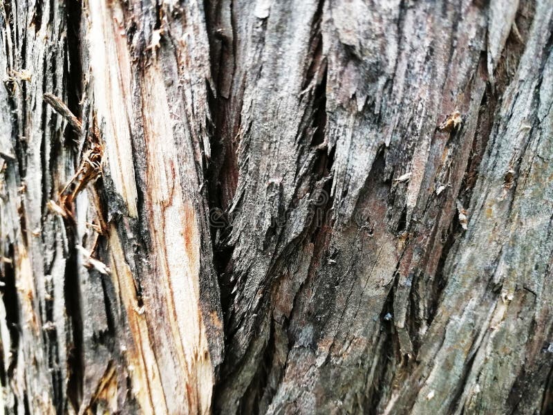 Houten natuurlijke textuur Houten Boom Geweven Patroon Als achtergrond stock foto's Houten natuurlijke textuur Houten Boom Geweven Patroon Als achtergrond stock foto's