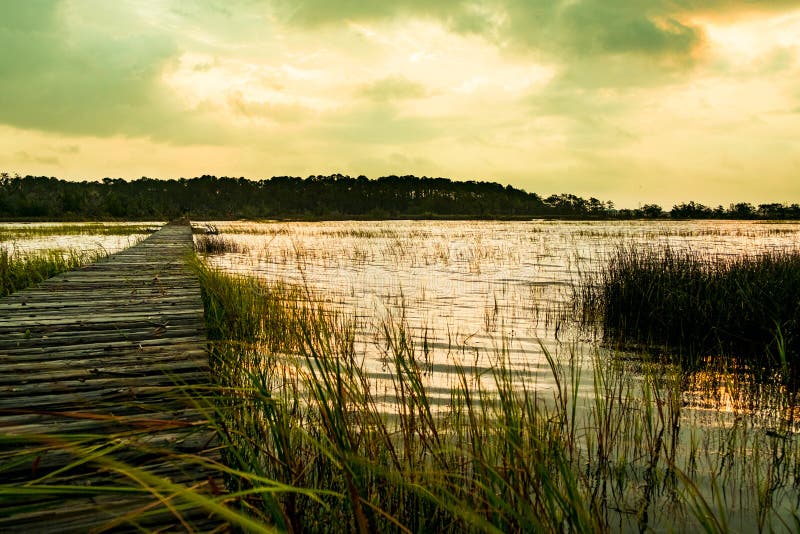 Houten pijler in moeras land van het Zuid- van Carolina het lage bij zonsondergang met groen gras
