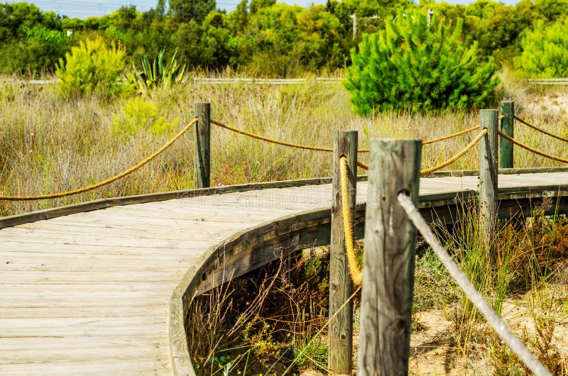 Houten promenade in de duinen die tot het zandige strand, de pa leiden royalty-vrije stock foto Houten promenade in de duinen die tot het zandige strand, de pa leiden royalty-vrije stock foto