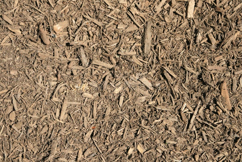 Shredded wood chip mulch background texture. Shredded wood chip mulch background texture