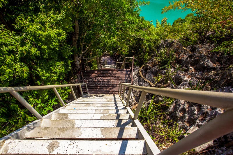 Houten trappen bij een groene lagune stock fotografie