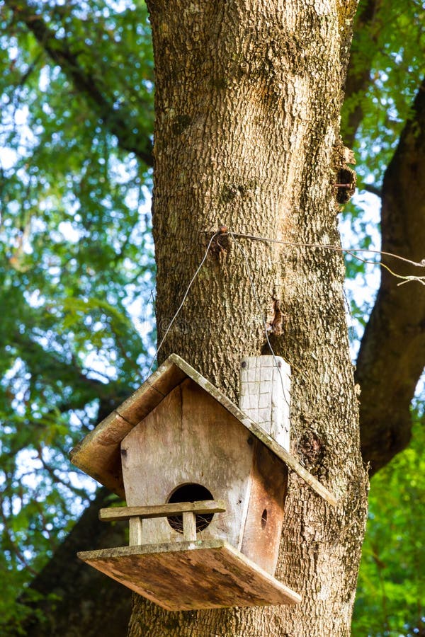 Old wooden birdhouse tied into the tree. Old wooden birdhouse tied into the tree