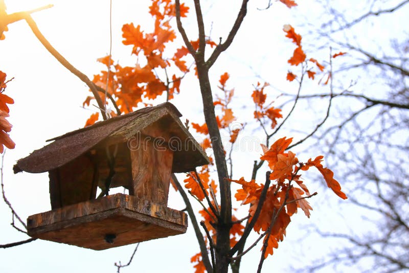 Houten vogelhuis op de boom in de winter stock fotografie Houten vogelhuis op de boom in de winter stock fotografie