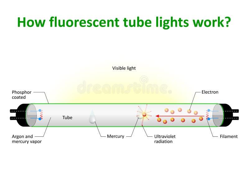 How fluorescent tube lights work