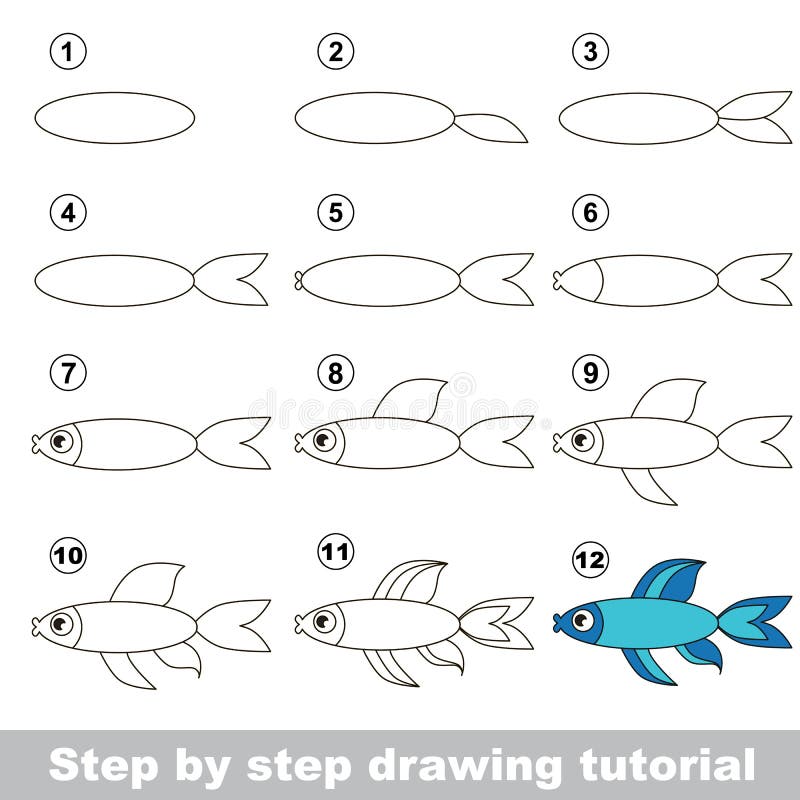 How To Draw a Fish Easy Step By Step For Beginners