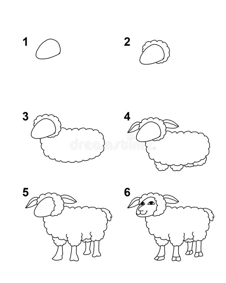 How To Draw Sheep Step by Step Cartoon Illustration with White
