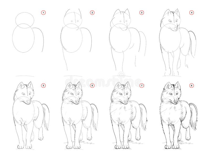 How to draw sketch of imaginary cute husky dog. Creation step by step pencil drawing. Education for artists.