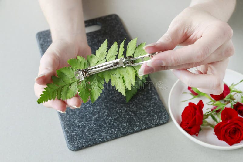 How to make a hair clip with fresh flowers and fern, tutorial royalty free stock photo