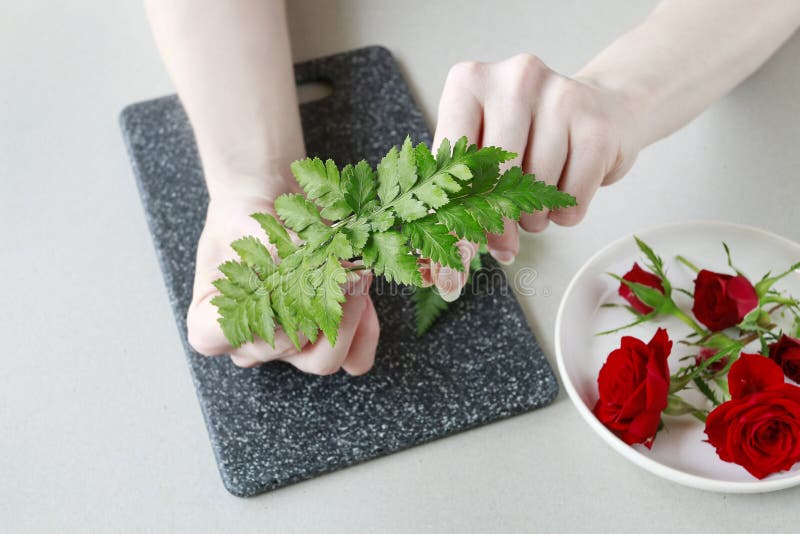 How to make a hair clip with fresh flowers and fern, tutorial royalty free stock image
