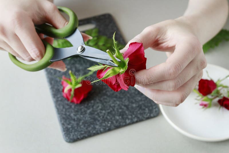 How to make a hair clip with fresh flowers and fern, tutorial stock images