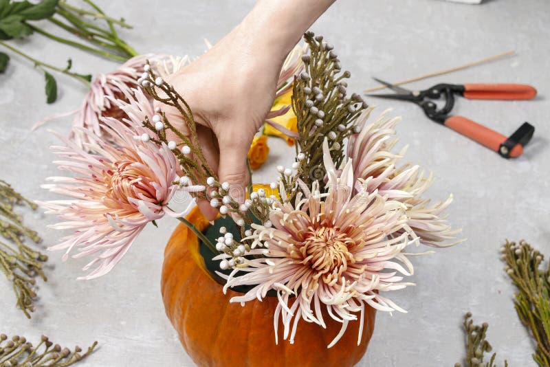 How To Make a Thanksgiving Centerpiece - Step by Step Stock Photo ...