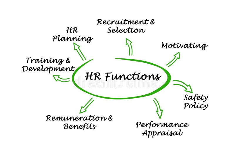 HR Functions stock illustration. Illustration of development - 94356763