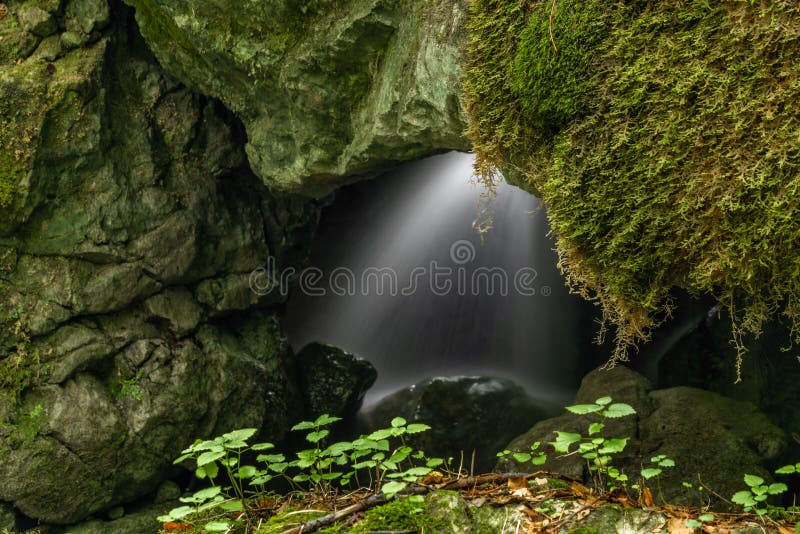 Potok Hrdzavy v létě ráno v údolí Hrdzavy na Slovensku