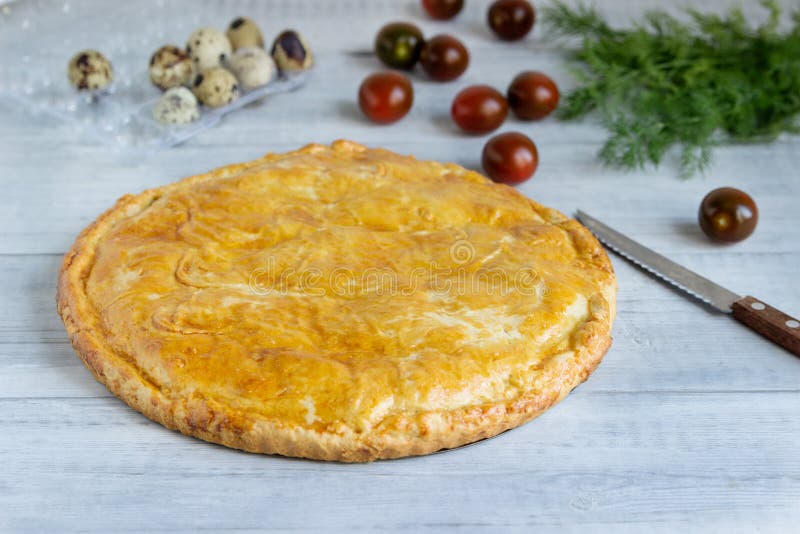 Σπιτική πίτα με σολομό, αυγά και φρέσκο κρεμμύδι στοκ εικόνες