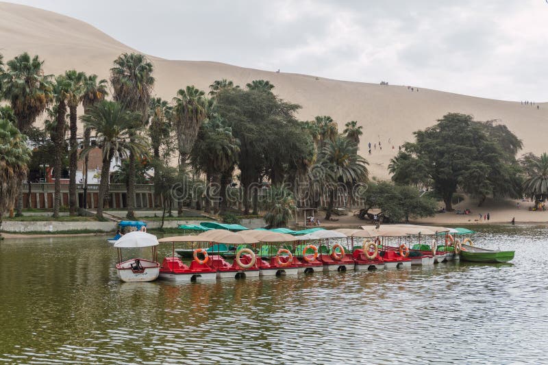 Huacachina Lagoon Ica Peru Stock Photo Image Of Palm 271065636