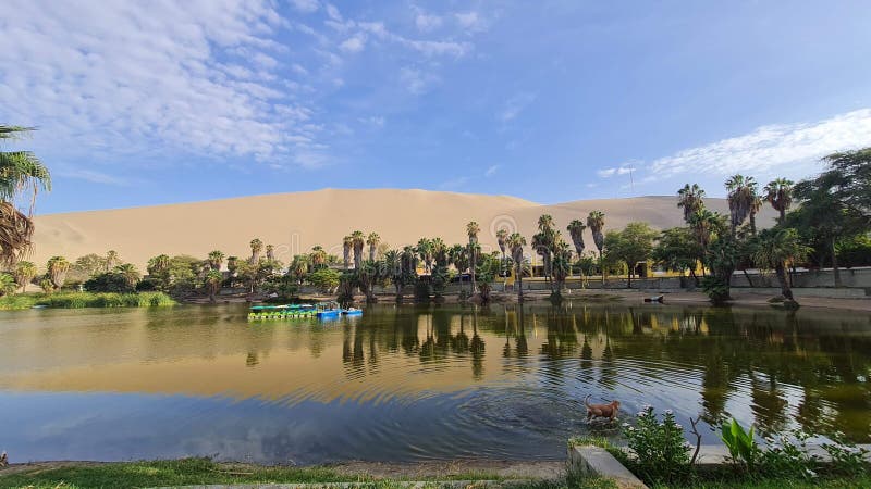 Huacachina Lagoon Peru Stock Photo Image Of Lagoon 277758976