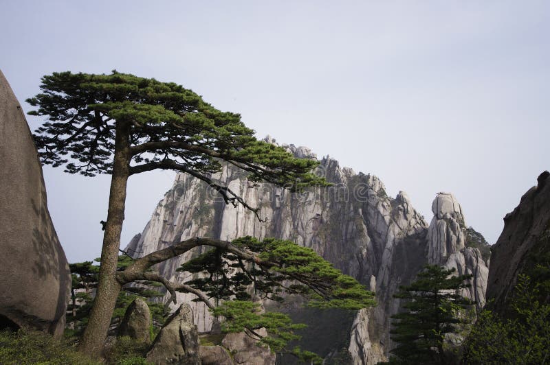 Huangshan welcoming pine and Heavenly Capital Peak