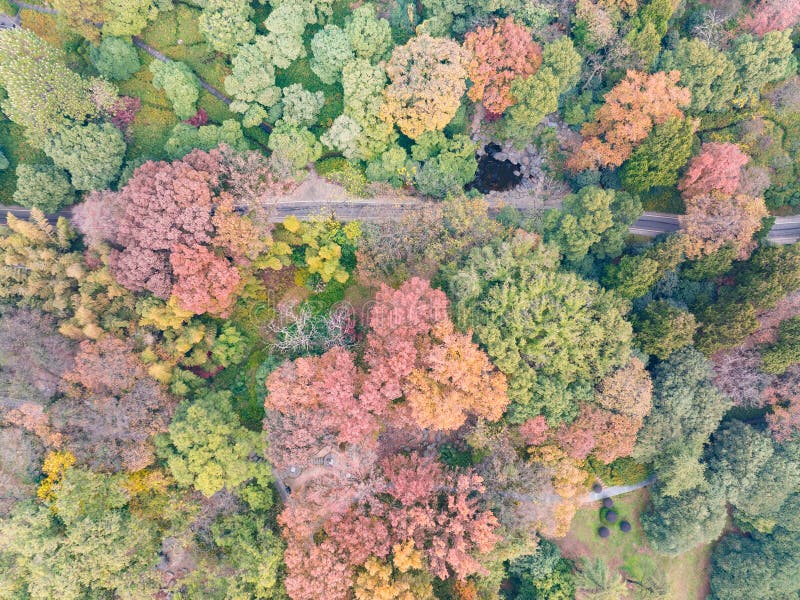 Hubei: zona panoramica sul lago orientale alla fine dell'autunno. Il lago orientale è un lago nella città di wuhan. è una delle attrazioni più uniche di wuhans con paesaggi bellissimi e una ricca cultura chu. il lago orientale è diviso in quattro aree : area di toro scenico area di moshan area di luoyan area panoramica e area di chuidi panoramica. tra questi, la zona di Moshan scenum è adatta per godersi i fiori. l'area panoramica luoyan può essere visitata per la visione di uccelli e la riproduzione di flauti. l'area scene di ting tao è un buon luogo per divertimento e divertimento con gli amici.