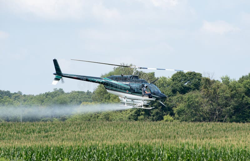 A helicopter is used to crop dust a field of corn. A helicopter is used to crop dust a field of corn.