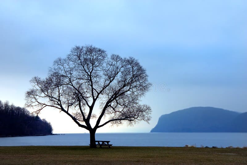 Hudson River Solace