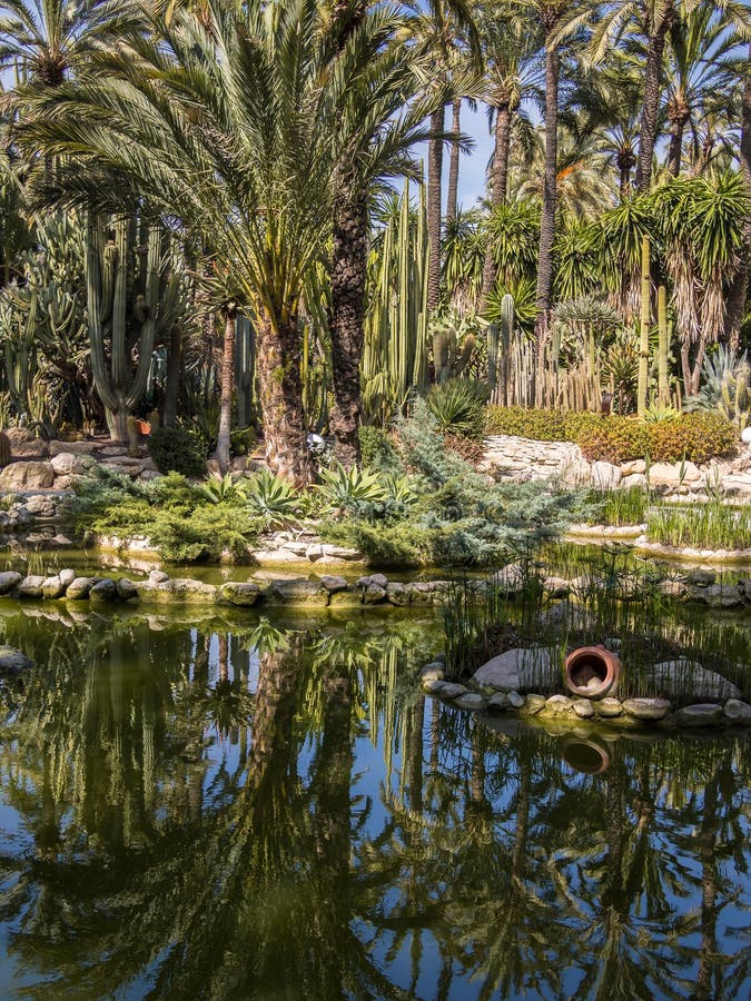 Huerto del Cura National Artisitic Garden in Elche, Spanje royalty-vrije stock foto's Huerto del Cura National Artisitic Garden in Elche, Spanje royalty-vrije stock foto's