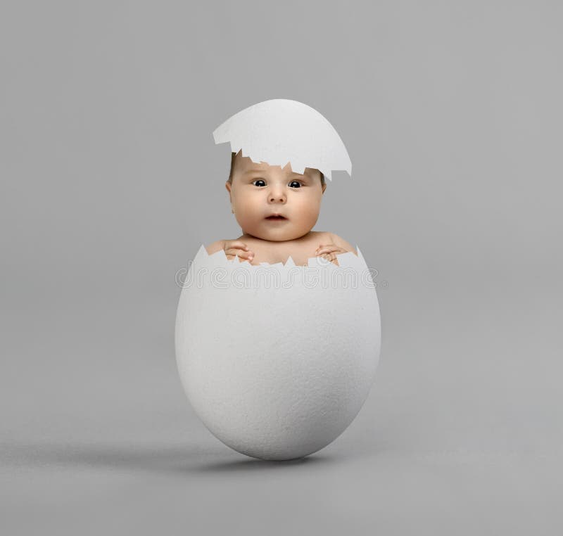 One white egg with baby, on grey background, hatching. One white egg with baby, on grey background, hatching