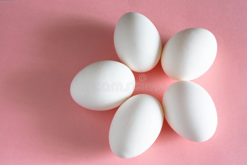 Huevo blanco del pollo en la opinión de top en colores pastel rosada del fondo diseño y decoración para Pascua imágenes de archivo libres de regalías Huevo blanco del pollo en la opinión de top en colores pastel rosada del fondo diseño y decoración para Pascua imágenes de archivo libres de regalías