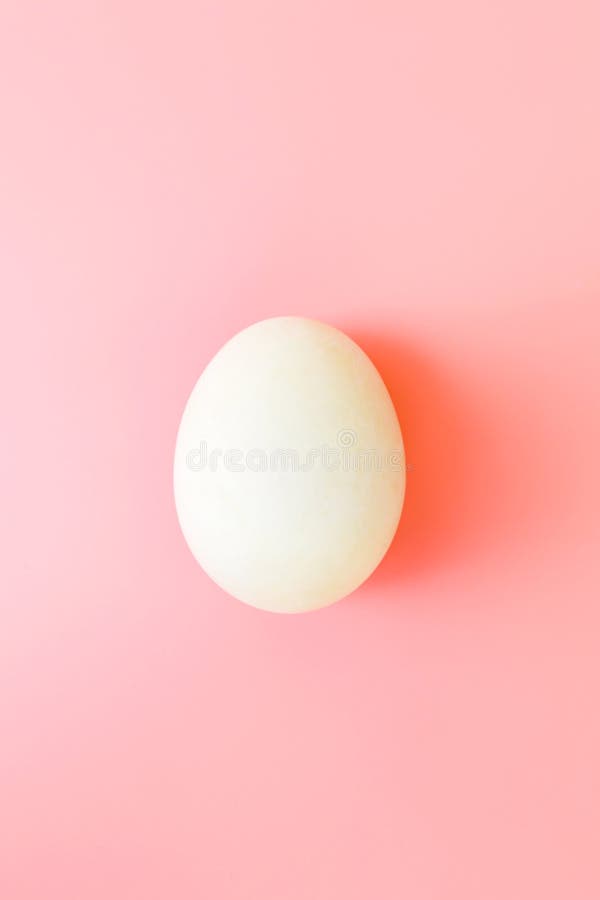 Huevo de Pascua blanco en fondo en colores pastel amarillo Concepto feliz de Pascua Concepto m?nimo Endecha plana Visi?n superior fotos de archivo Huevo de Pascua blanco en fondo en colores pastel amarillo Concepto feliz de Pascua Concepto m?nimo Endecha plana Visi?n superior fotos de archivo