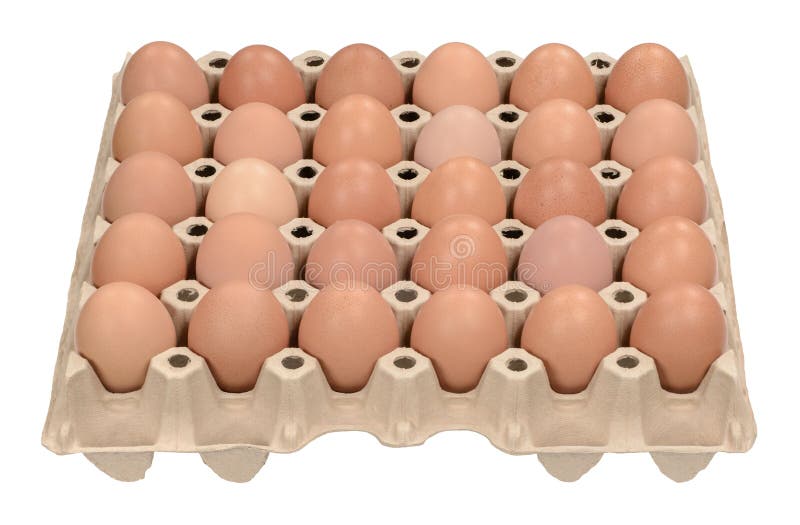 Huevos de Brown imágenes de archivo libres de regalías Huevos de Brown imágenes de archivo libres de regalías