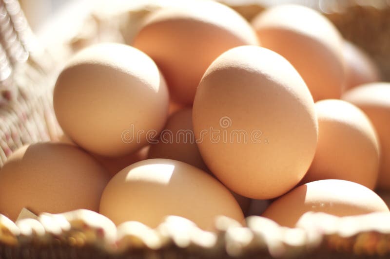 Close view of a basket of brown eggs in a natural setting in front of a window with the natural sun shinning on the eggs. Close view of a basket of brown eggs in a natural setting in front of a window with the natural sun shinning on the eggs.