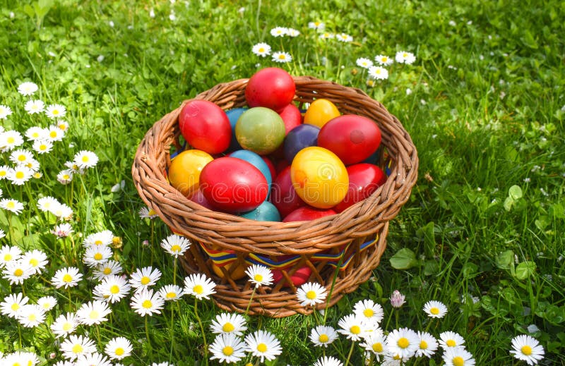 Huevos de Pascua coloridos en la hierba verde con las flores blancas de la primavera imagen de archivo libre de regalías Huevos de Pascua coloridos en la hierba verde con las flores blancas de la primavera imagen de archivo libre de regalías
