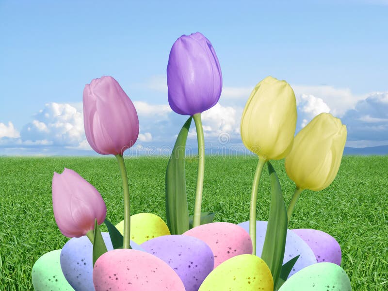 Huevos De Pascua Reales Y Tulipanes Púrpuras Y Amarillos Rosados Con El  Fondo De La Hierba Verde Y Del Cielo Azul Imagen de archivo - Imagen de  extracto, resorte: 49810129