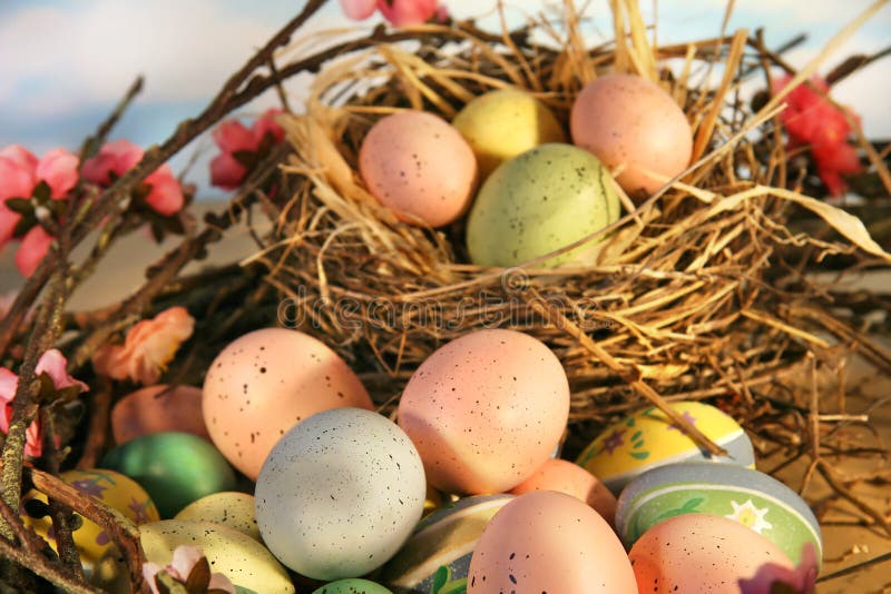 Huevos de Pascua y flores de la manzana fotografía de archivo libre de regalías Huevos de Pascua y flores de la manzana fotografía de archivo libre de regalías