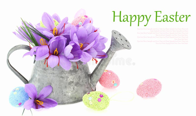 Huevos de Pascua y flores del azafrán foto de archivo libre de regalías Huevos de Pascua y flores del azafrán foto de archivo libre de regalías