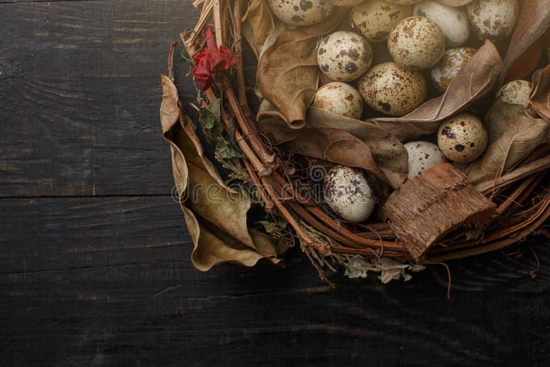 Huevos negros en una jerarqu?a de ramas secas en un tablero negro Estilo de Pascua fotos de archivo Huevos negros en una jerarqu?a de ramas secas en un tablero negro Estilo de Pascua fotos de archivo