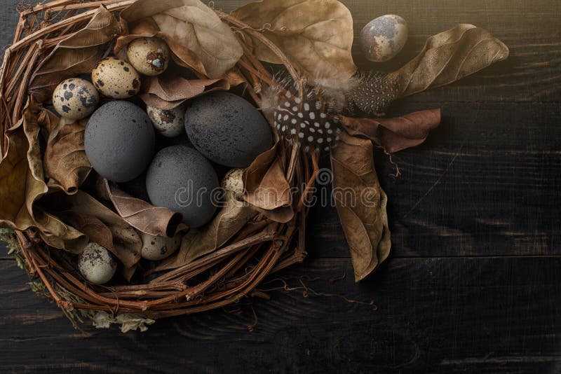 Huevos negros en una jerarqu?a de ramas secas en un tablero negro Estilo de Pascua fotografía de archivo libre de regalías Huevos negros en una jerarqu?a de ramas secas en un tablero negro Estilo de Pascua fotografía de archivo libre de regalías