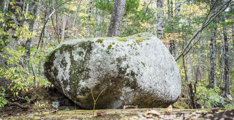Huge boulder in the wild forest.