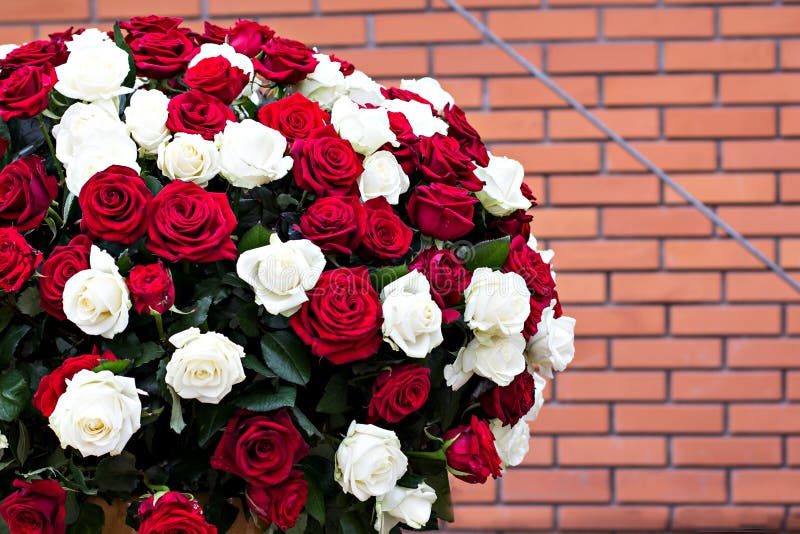 A Huge Bouquet of White and Red Roses Stock Photo - Image of groom,  celebrate: 137839916