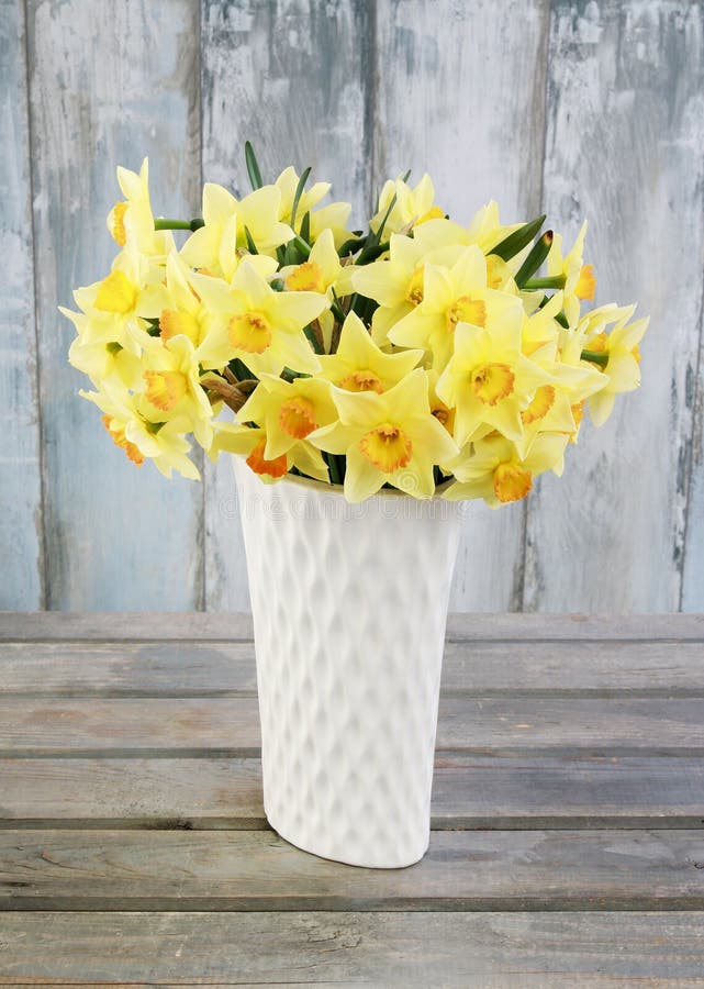 Huge Bouquet of Yellow Daffodils Stock Photo Image of flower, happy