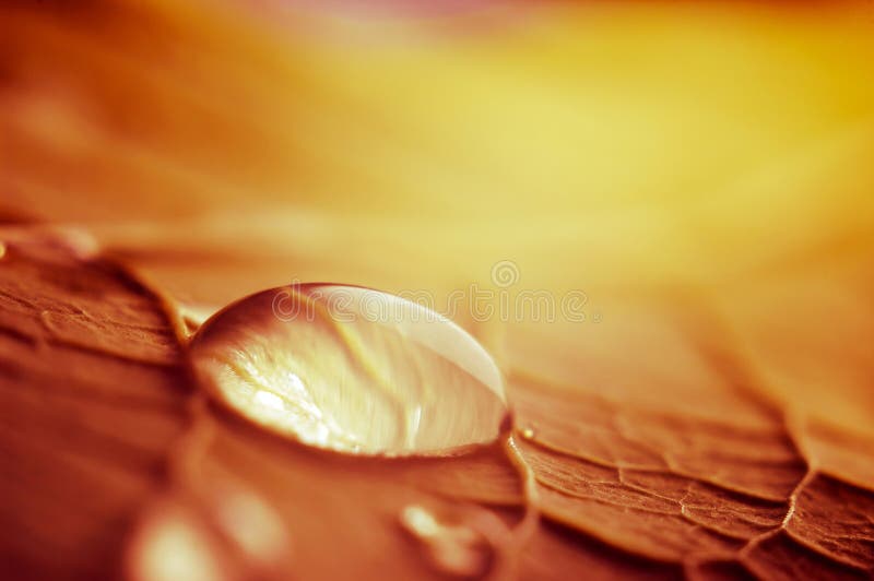 Huge drop of water royalty free stock image Huge drop of water royalty free stock image