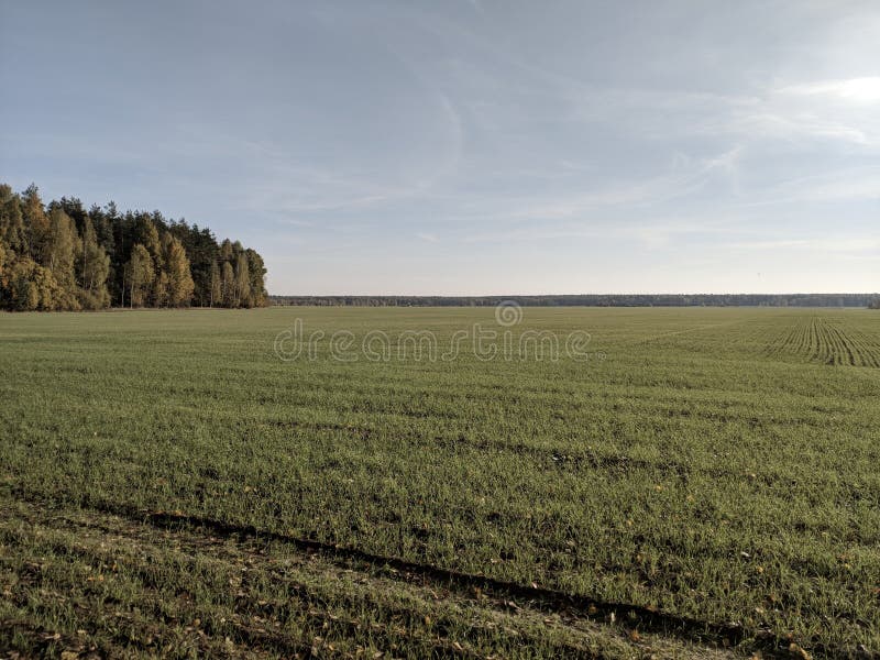 Huge fields and forests stock image. Image of bright 147694489