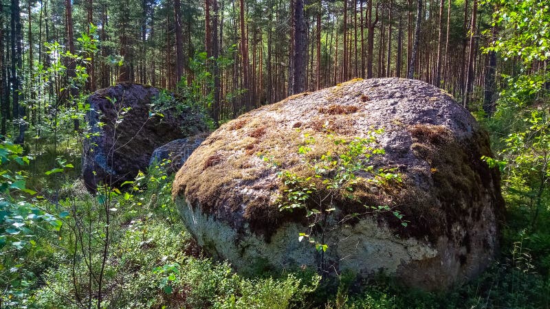 A huge granite boulder with a deep forest.