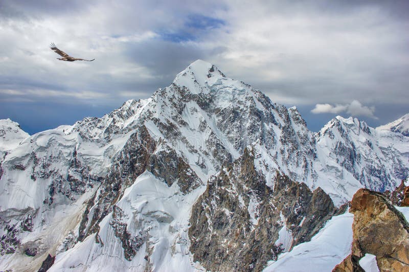 A huge snow and ice rocky mountain peak and an eagle