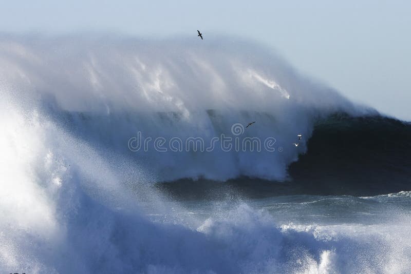 Huge Surf at Cape Banks, Sydney, Australia. Stock Image Image of